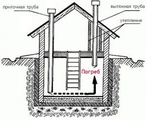 Schematic diagram of the ventilation of the cellar