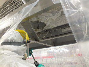 Professional disinfection of ventilation