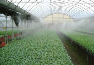 Injection humidification of greenhouse facilities