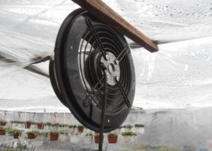 Automatic ventilation in the greenhouse